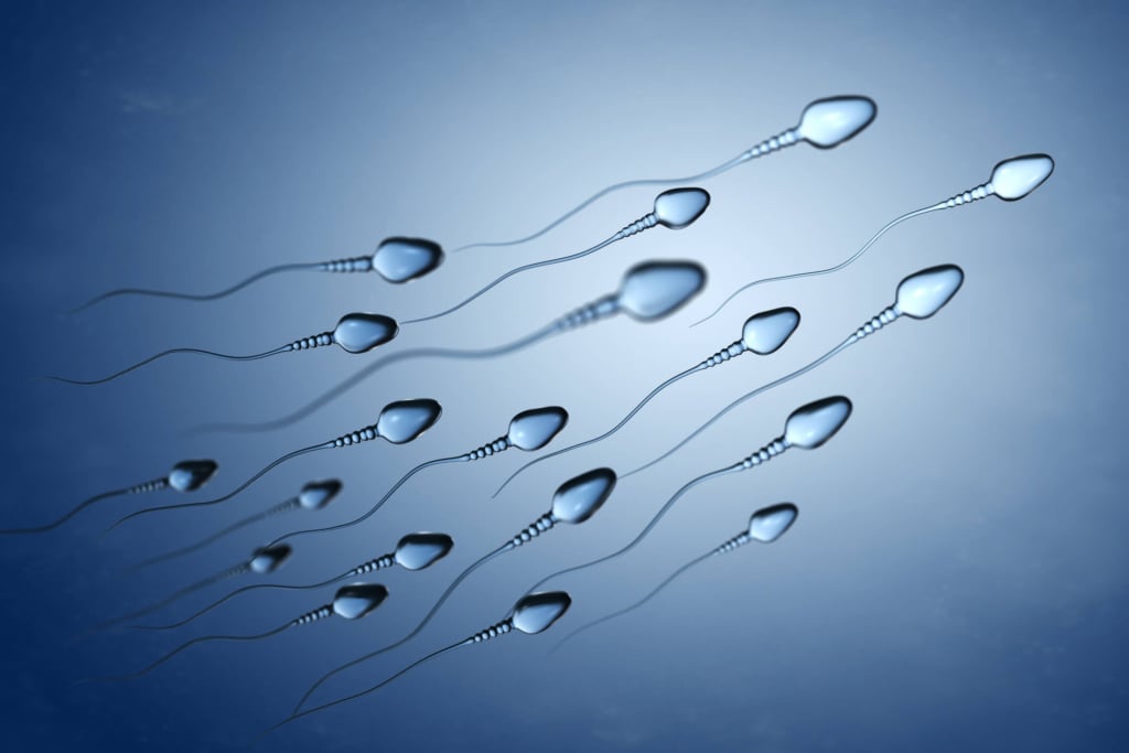 Figli naturali e figli &#8220;artificiali&#8221;
