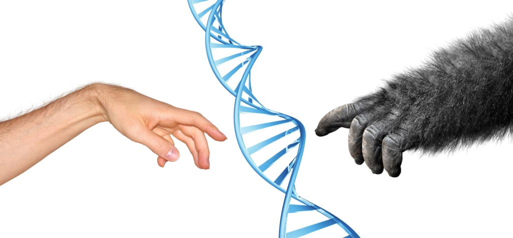 Siamo tutti parenti: l’eredità dell’evoluzione nella scienza e nella cultura