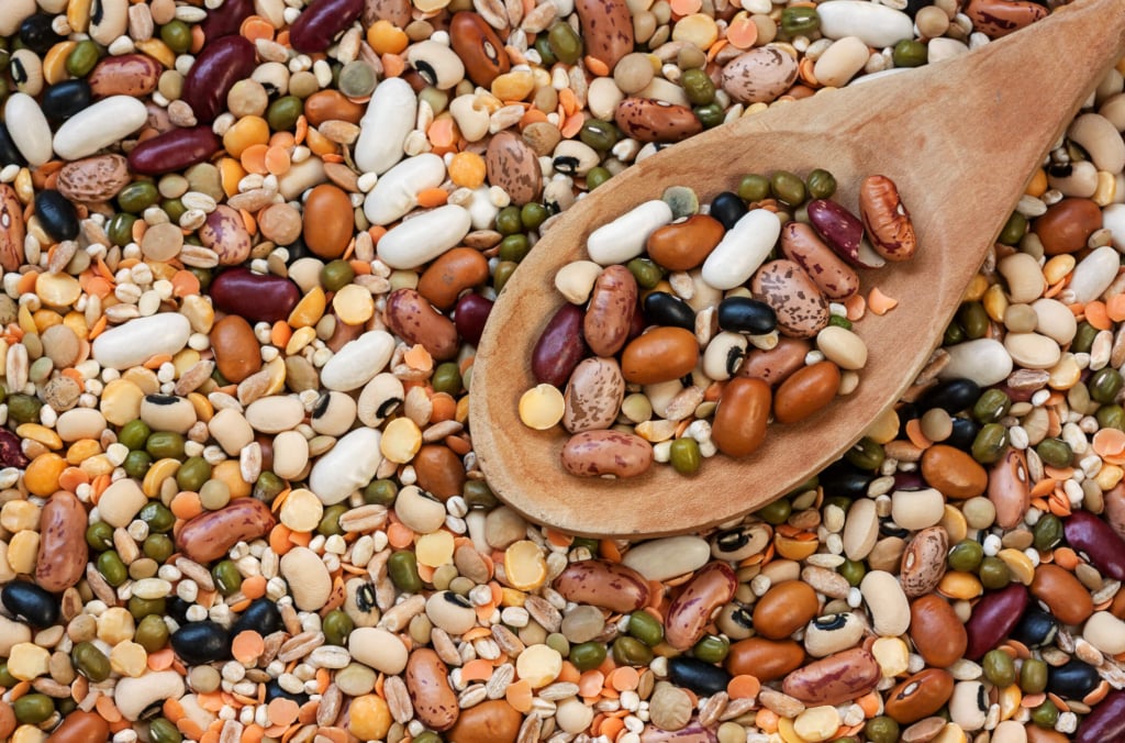Nutrire (bene) il cervello