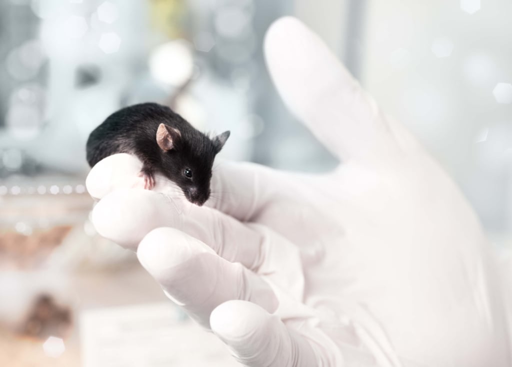 Sperimentazione animale