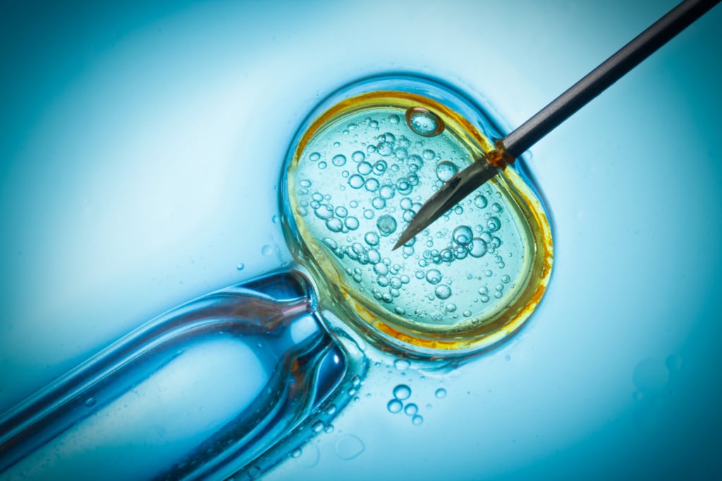 Di quale bioetica abbiamo bisogno?