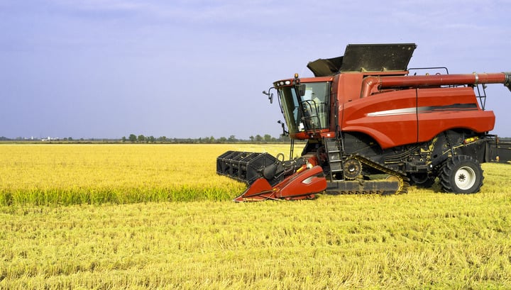 mietitrebbia in azione su un campo coltivato