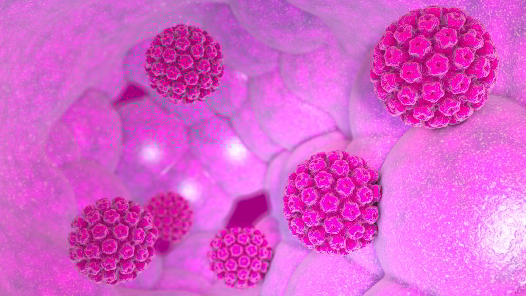 HPV: una storia da Nobel