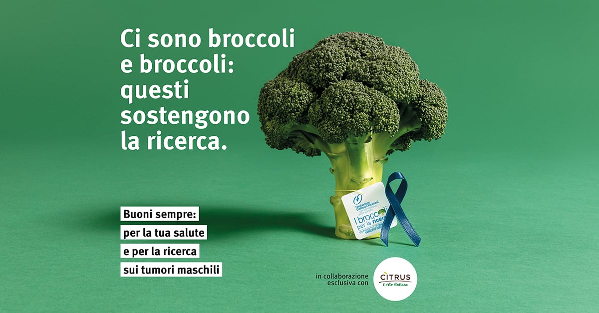 Redazione