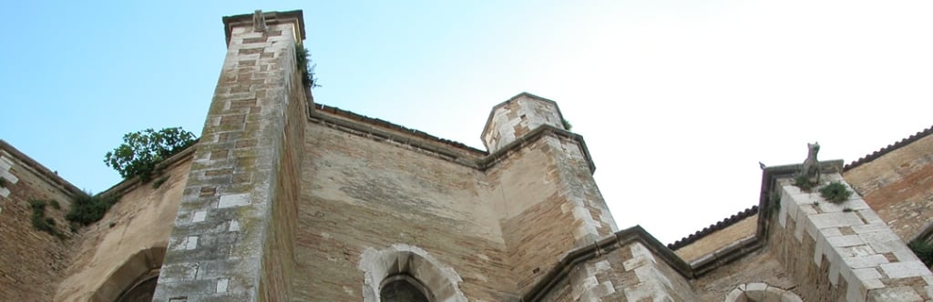 A Lucera una nuova Delegazione della Fondazione Veronesi