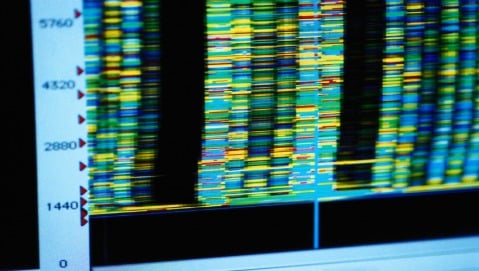 Mutazioni genetiche: non sempre sono dannose
