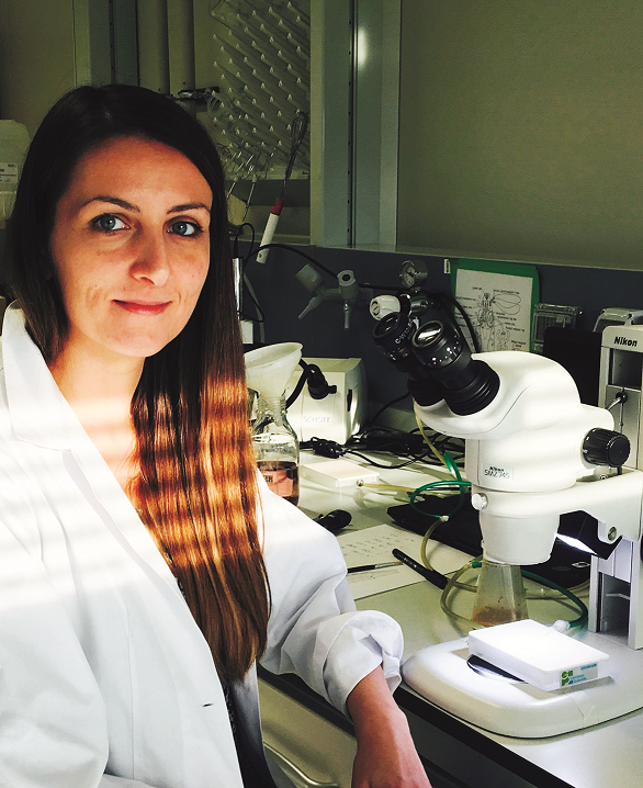 A caccia di farmaci ad hoc per la sindrome di Shwachman-Diamond