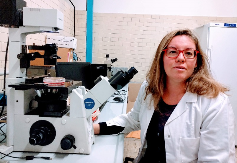Nanoplastiche: un potenziale rischio per le cellule ossee?