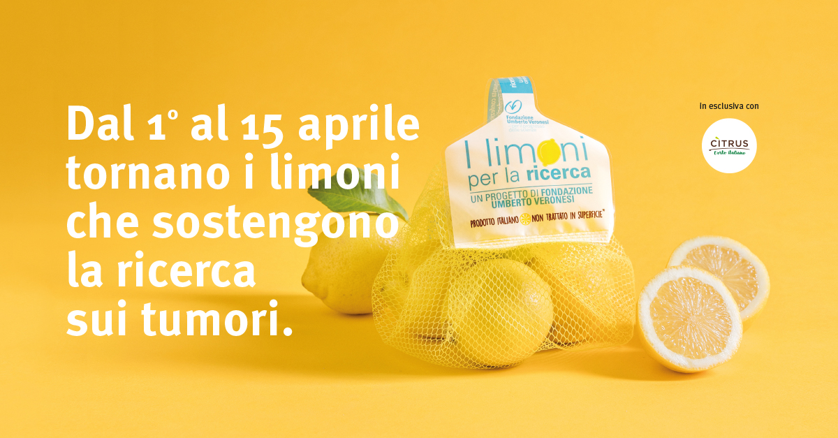 Redazione