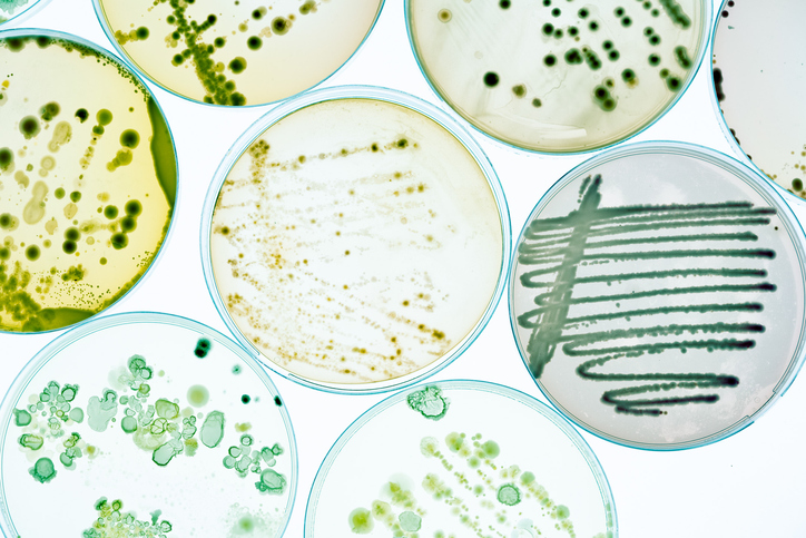Antibiotico resistenza: un&#8217;emergenza per tutto il pianeta