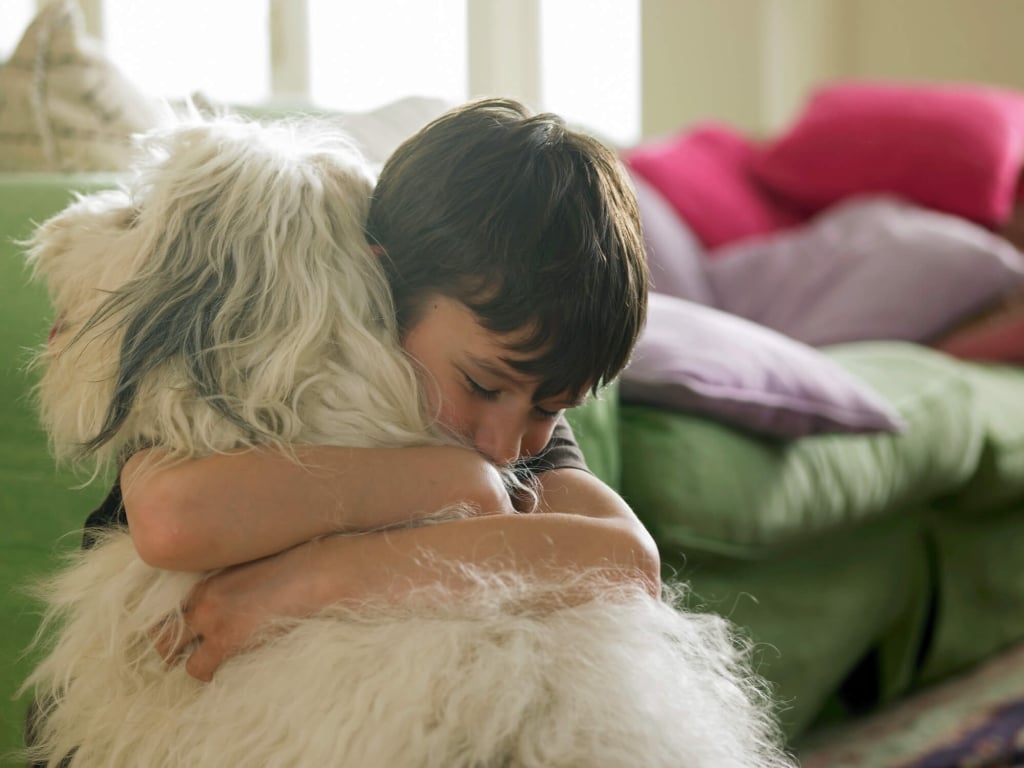 Pet therapy: così i cani possono aiutare i più fragili