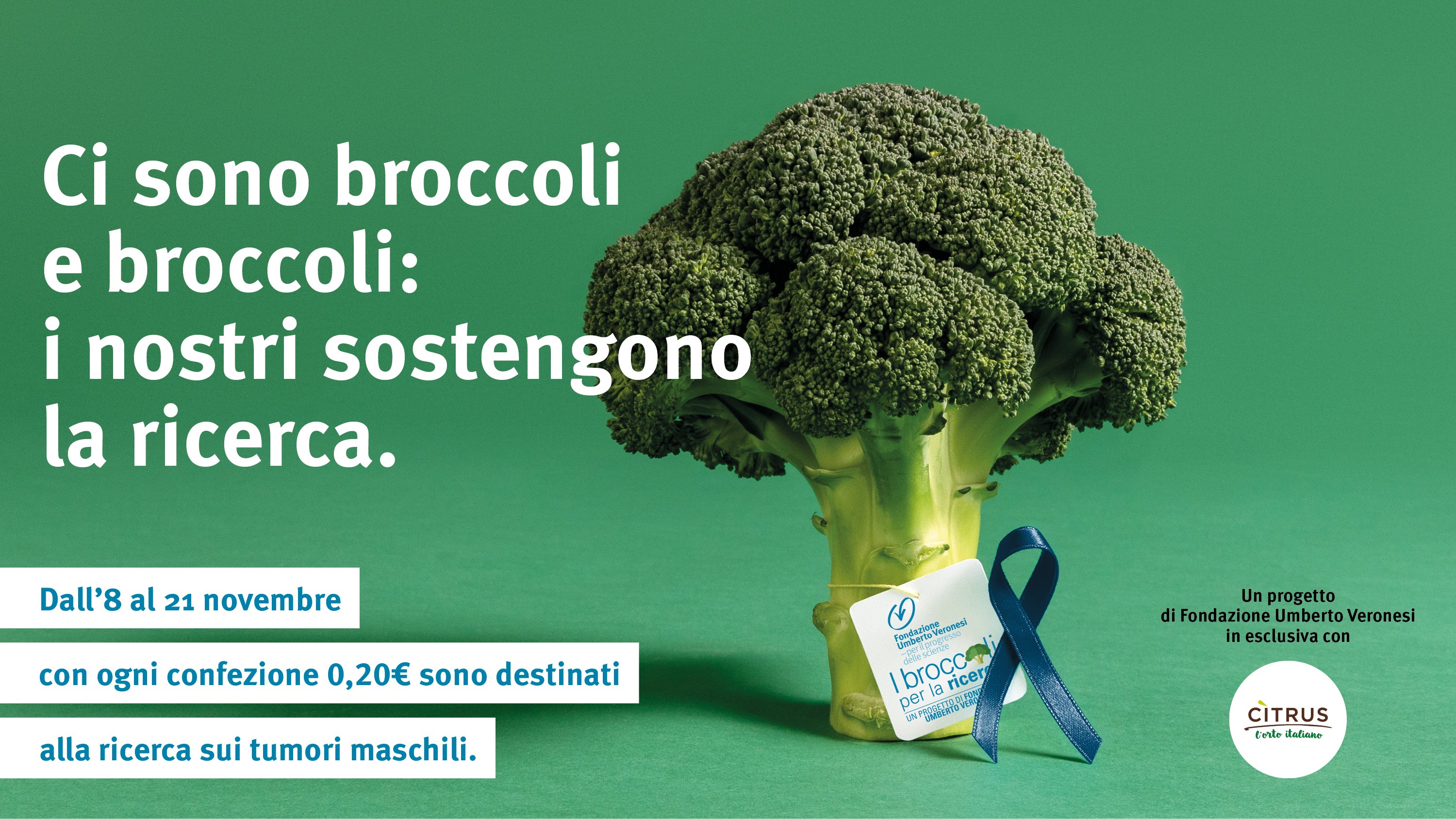 Redazione