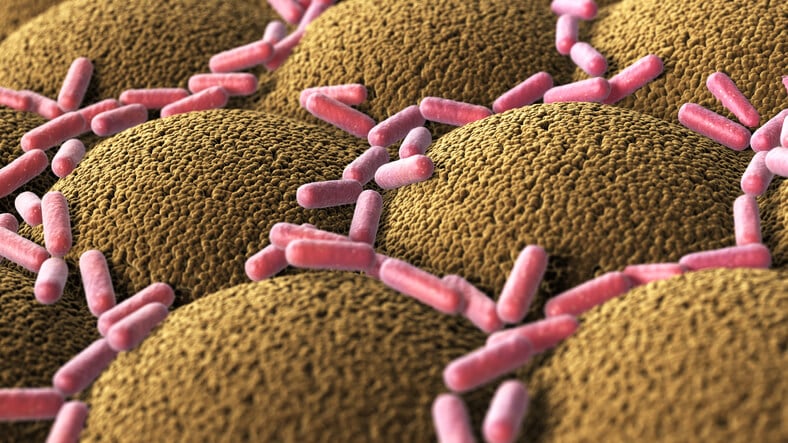 Tumore del colon: si «rafforza» il legame con la flora intestinale
