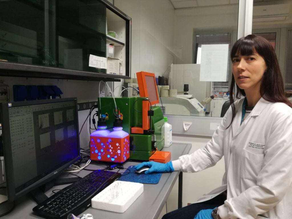 Quel legame tra cellule staminali e tumore del rene