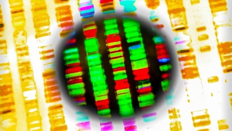 Rivoluzione digitale: qual è l&#8217;impatto dell&#8217;innovazione nella ricerca scientifica?