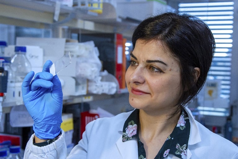 Kirey Group un altro anno all&#8217;insegna della ricerca scientifica