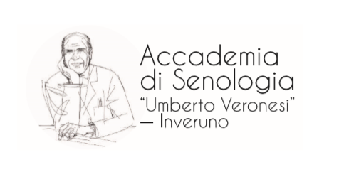 Atelier di medicina all&#8217;Accademia di Senologia Veronesi