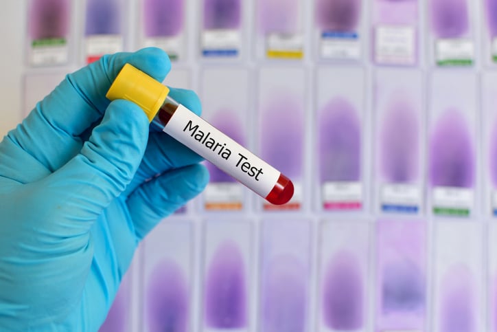 Malaria: in arrivo la tafenoquina, un farmaco contro le recidive