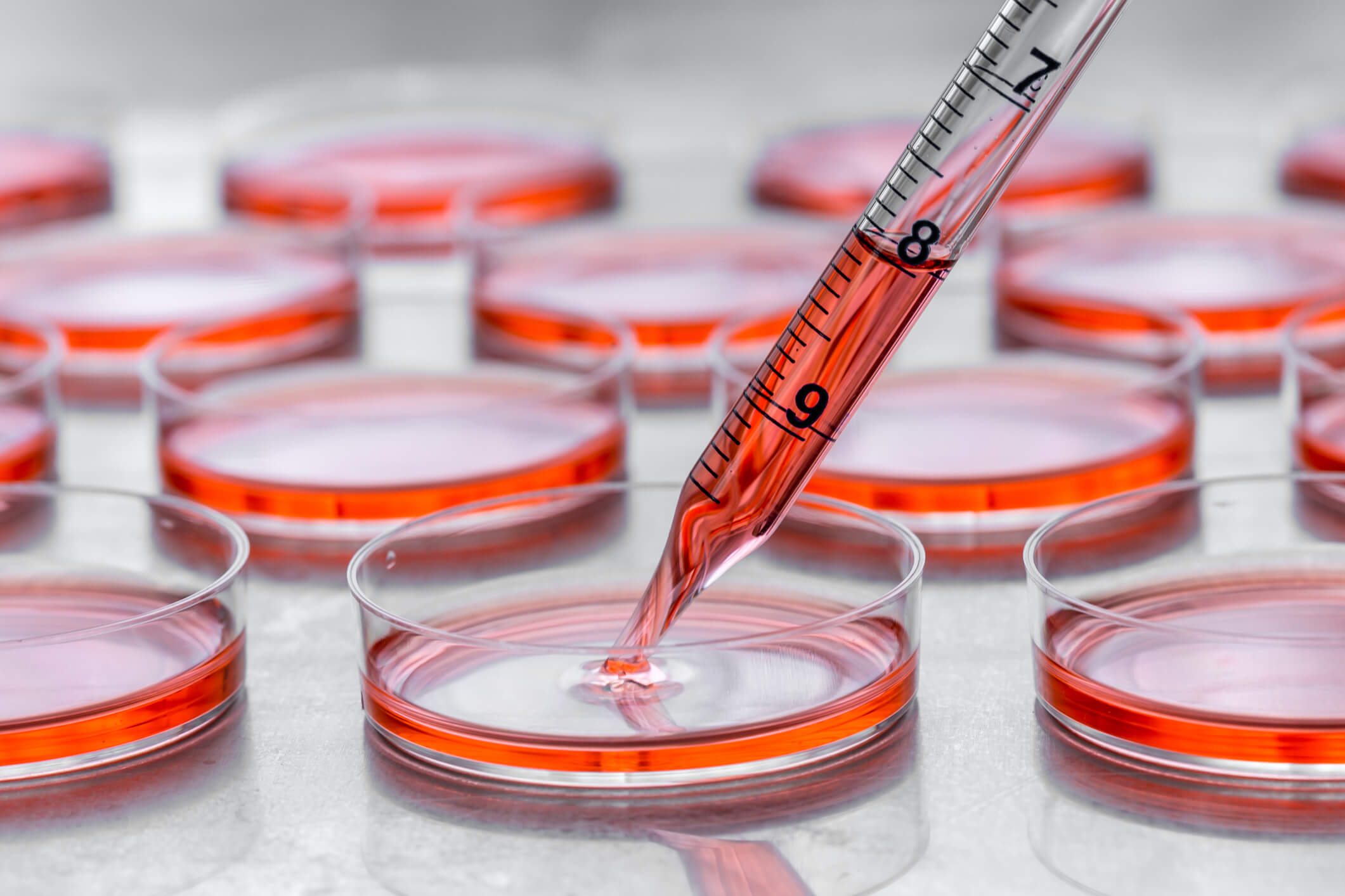 Biopsia liquida: s per monitorare le cure, no per la diagnosi precoce