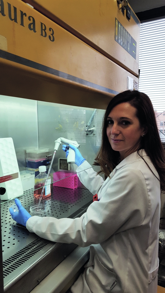 Tumore del colon-retto: un virus tra le possibili cause?