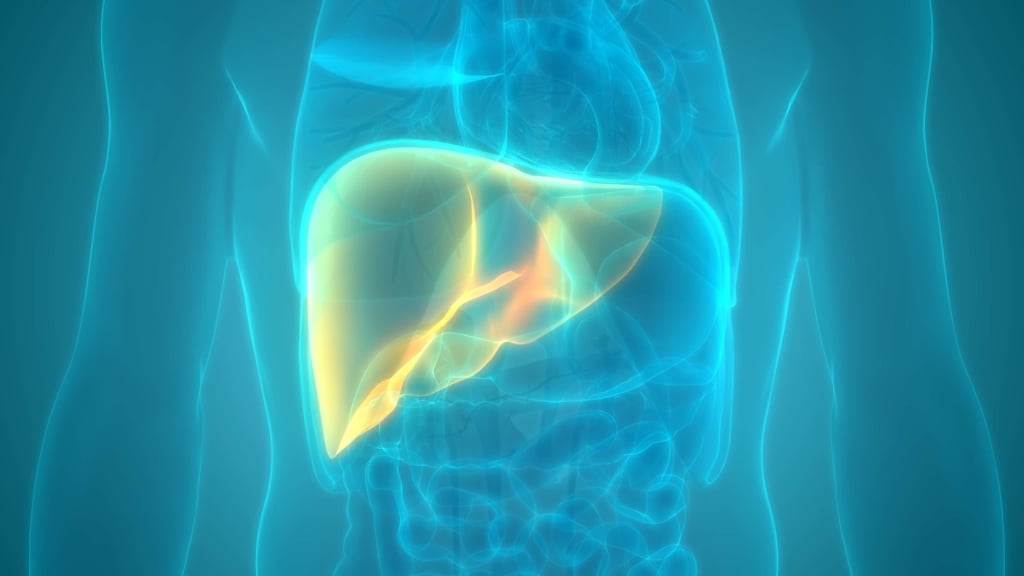 Quanto è probabile una metastasi da epatocarcinoma?