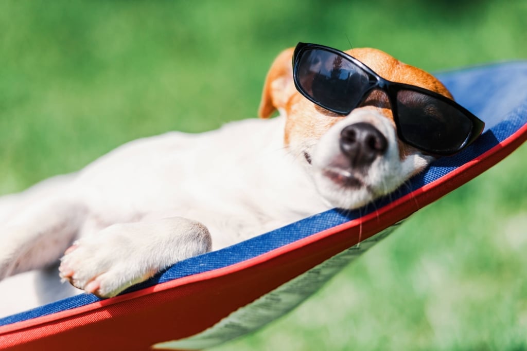 Estate, sole e vitamina D. Quel che c&#8217;è da sapere