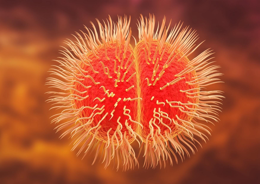 Meningite
