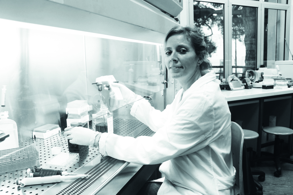 Principi Elisa