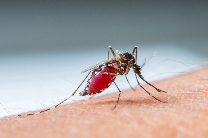 thinkstockphotos-486376513_1