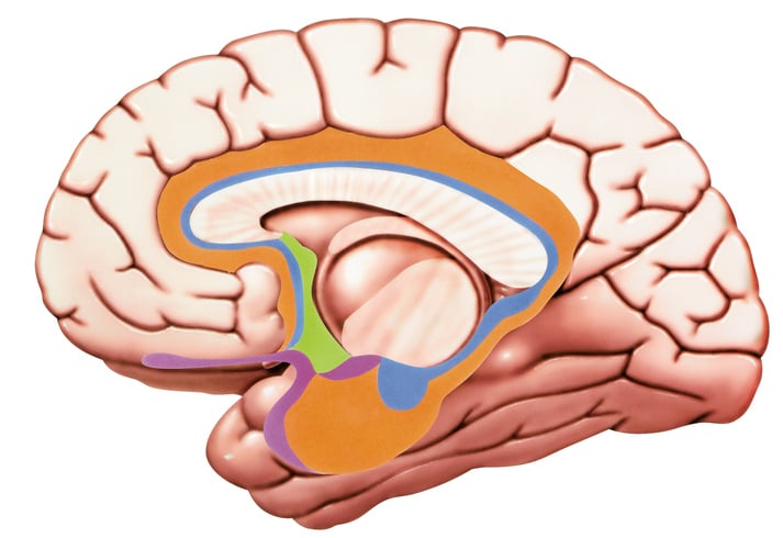 thinkstockphotos-508513309