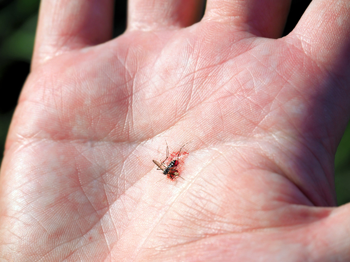 thinkstockphotos-586046566