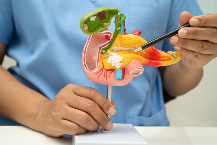 pancreas