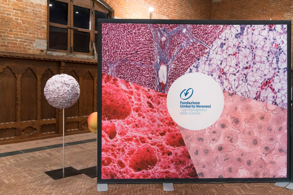 1io-vivo-sanono20190318-5