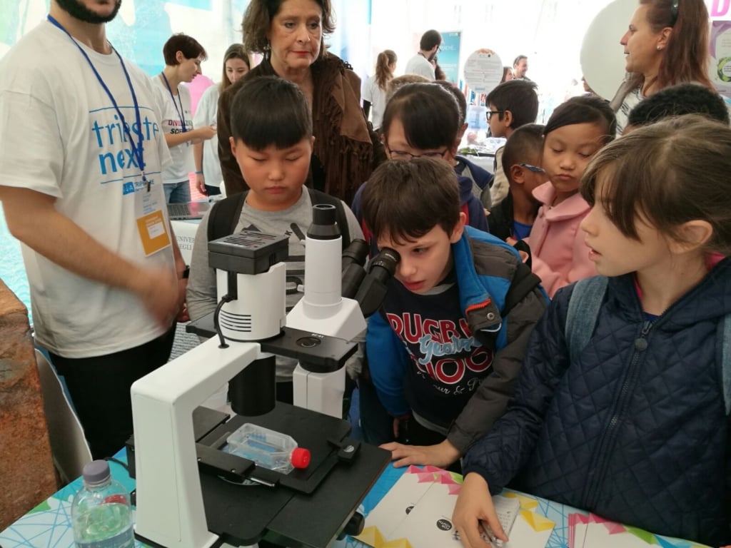 whatsapp-image-2017-09-26-at-122007-2