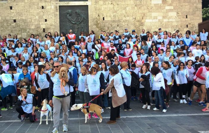 wp20190519102054pro_2