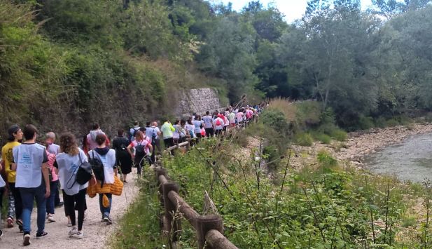 wp20190519110048pro-1