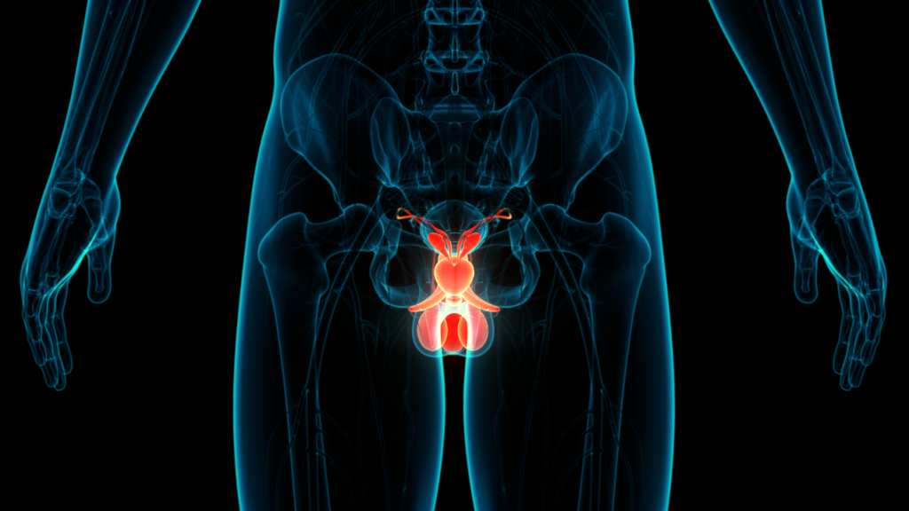 Intervento di rimozione dei testicoli: orchiectomia