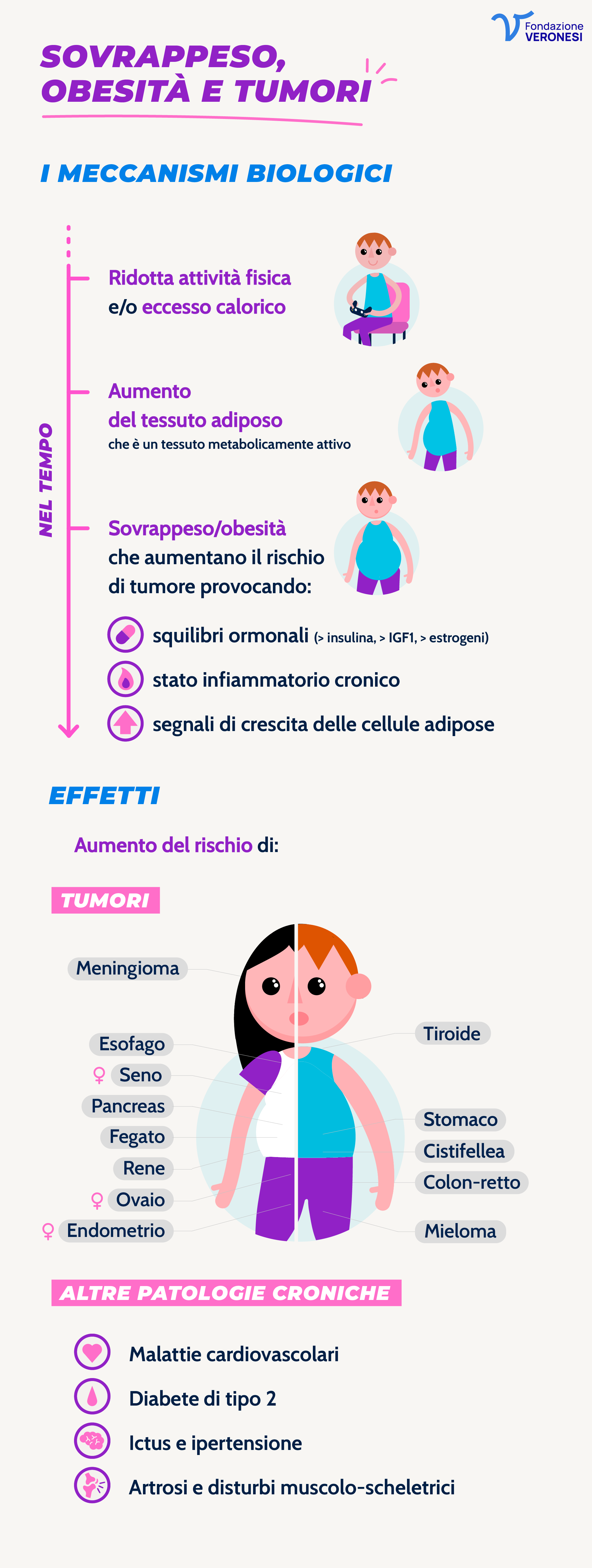 Meccanismi biologici che provocano l'aumento di rischio di tumore quando si soffre di sovrappeso e obesità