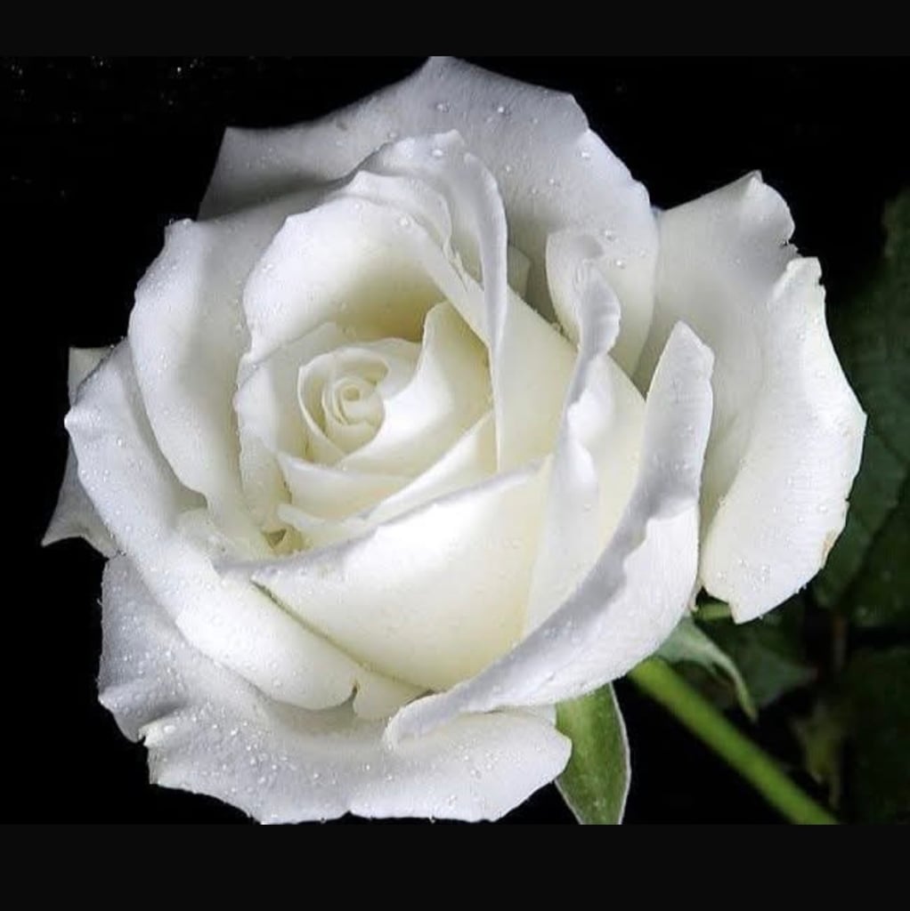 “Il tumore alla cervice di mia madre mi ha salvata”