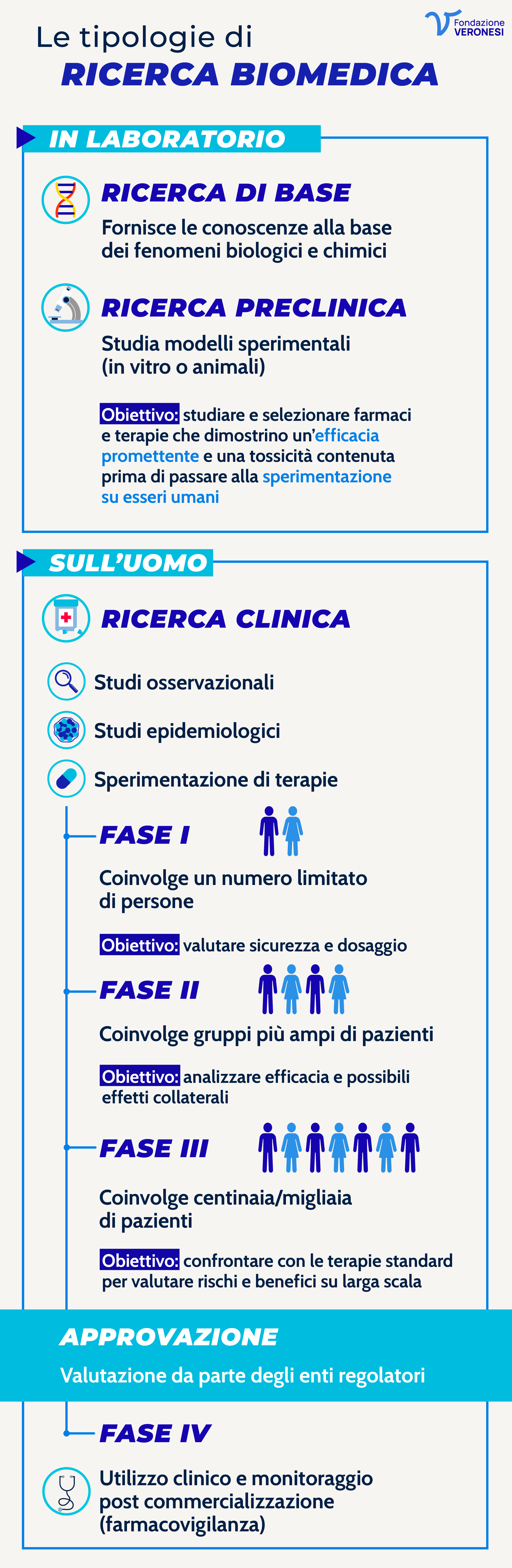 Le fasi della ricerca biomedica