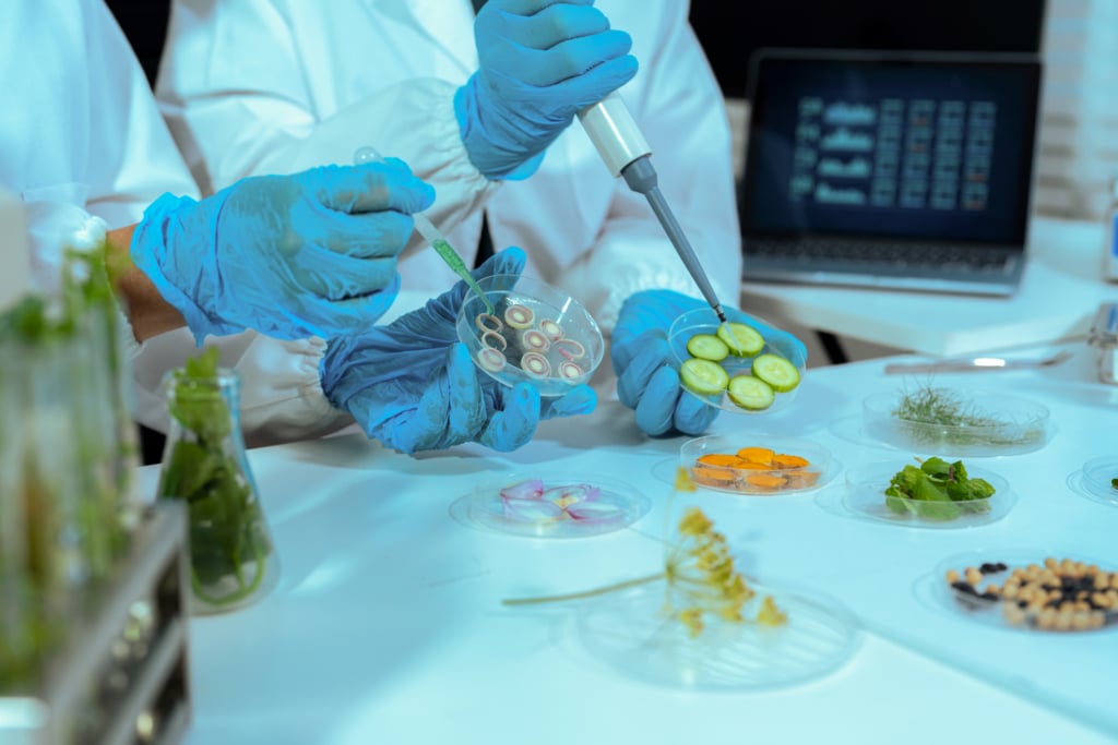 Nitriti e nitrati nel cibo: focus sul rischio oncologico