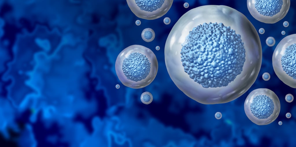 Trapianto di cellule staminali
