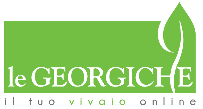 Logo Georgiche